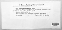 Image Associated With the Occurence